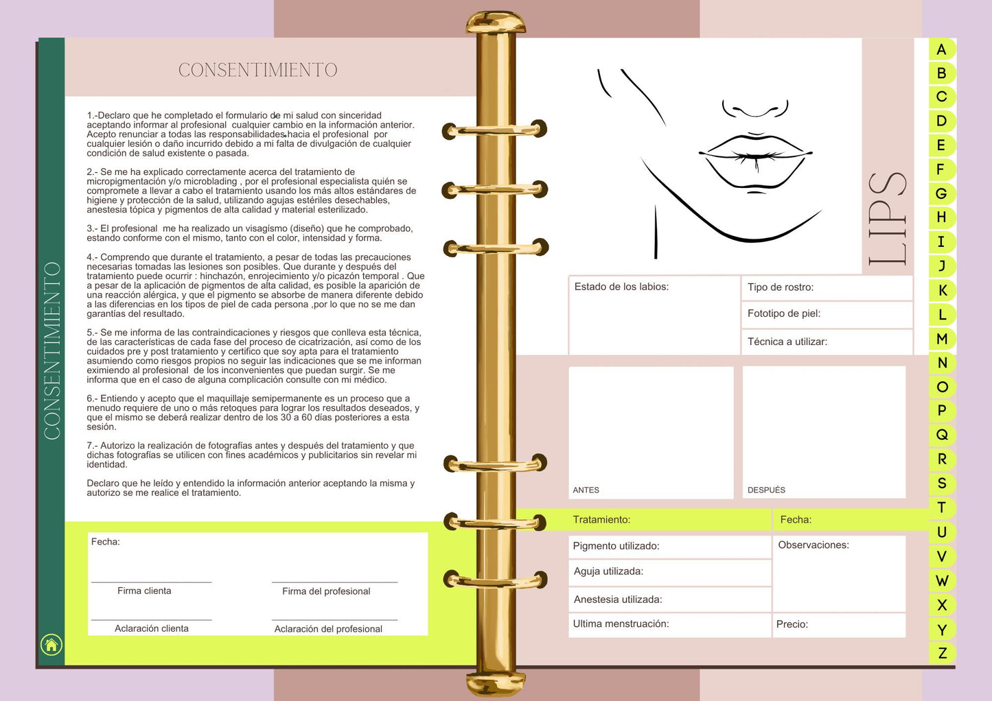 Ficha / Agenda Micropigmentación de labios